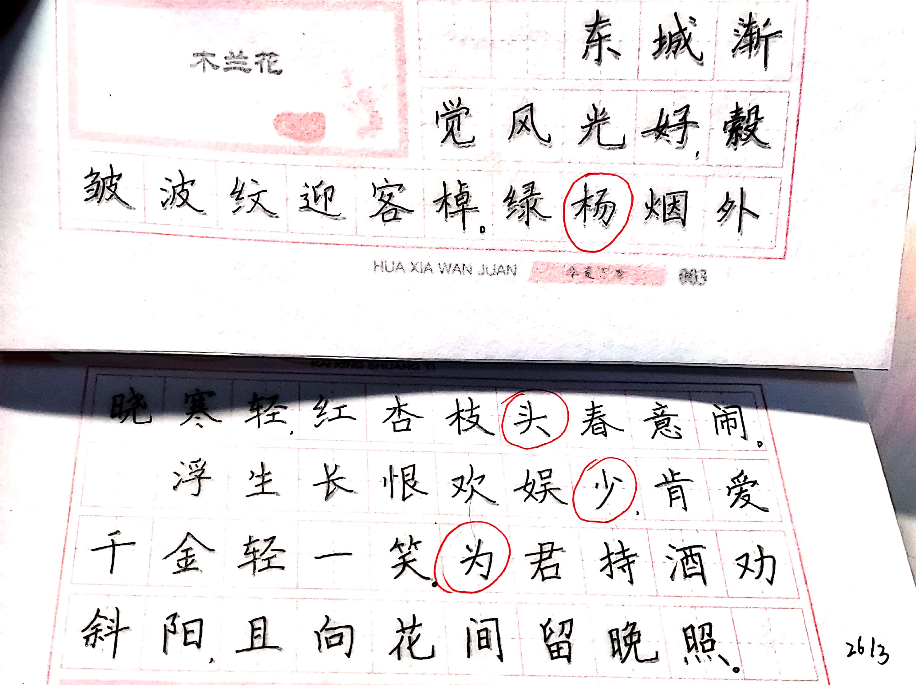 3.26 红标来了